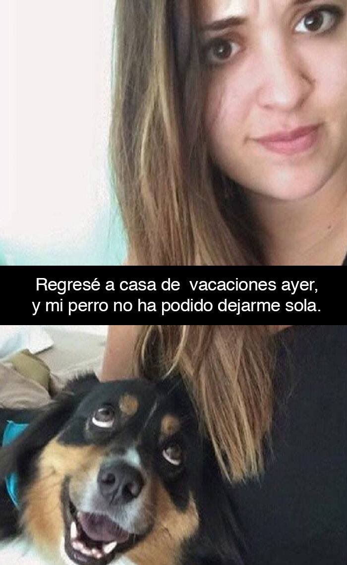 clubdelbajon's tweet photo. Y todavía hay gente que los maltrata https://t.co/askuNg9nPt