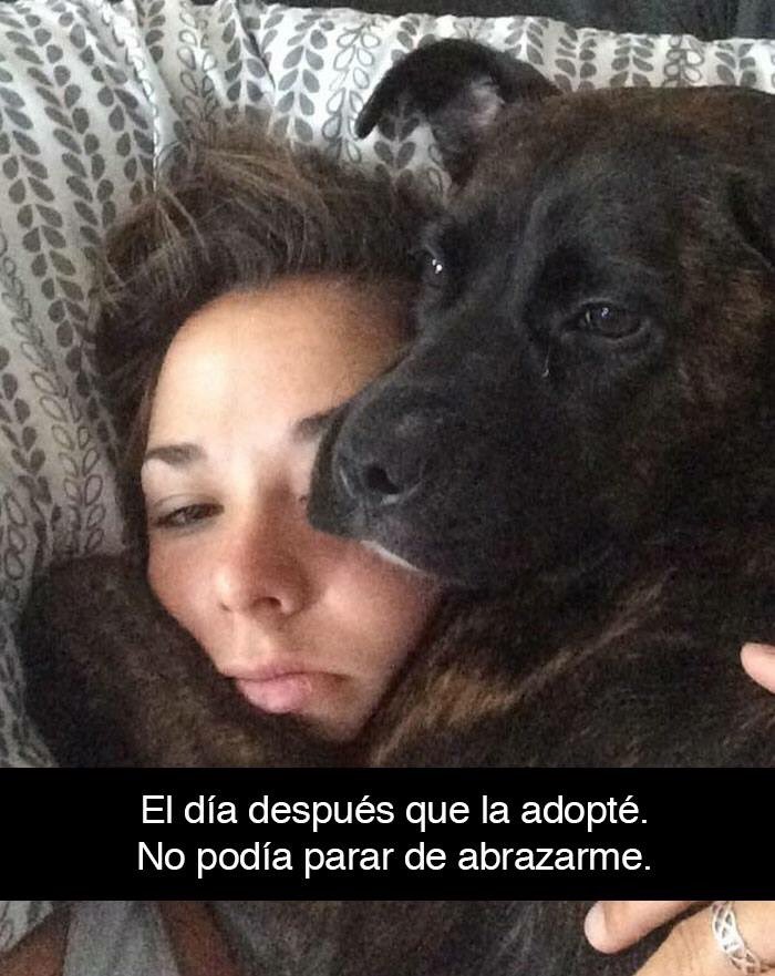 clubdelbajon's tweet photo. Y todavía hay gente que los maltrata https://t.co/askuNg9nPt