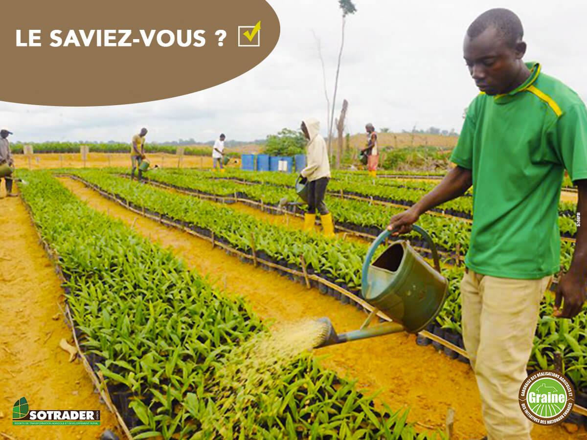 1/5 Le programme #GRAINE a pour ambition d'être un outil de diversification de l’économie via le secteur agricole.
#MaTerreMaRichesse