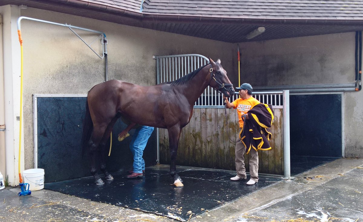 Jour_de_Galop's tweet photo. Ce matin,@annelouechevin a rencontré Wesley Ward 🇺🇸 à Deauville. 
🔜 Rdv dans l'édition de ce soir pour tout savoir sur #BoundForNowhere 🏇 https://t.co/szC1f9yy06