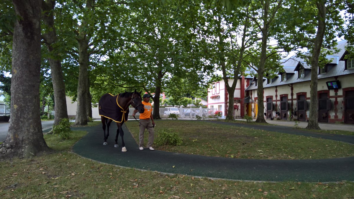 Jour_de_Galop's tweet photo. Ce matin,@annelouechevin a rencontré Wesley Ward 🇺🇸 à Deauville. 
🔜 Rdv dans l'édition de ce soir pour tout savoir sur #BoundForNowhere 🏇 https://t.co/szC1f9yy06