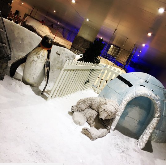 Kar ve kış sporlarını sevenler için mevsim fark etmez! 🙂 Yaz ortasında kar keyfi için Torium Snowpark’a bekliyoruz.