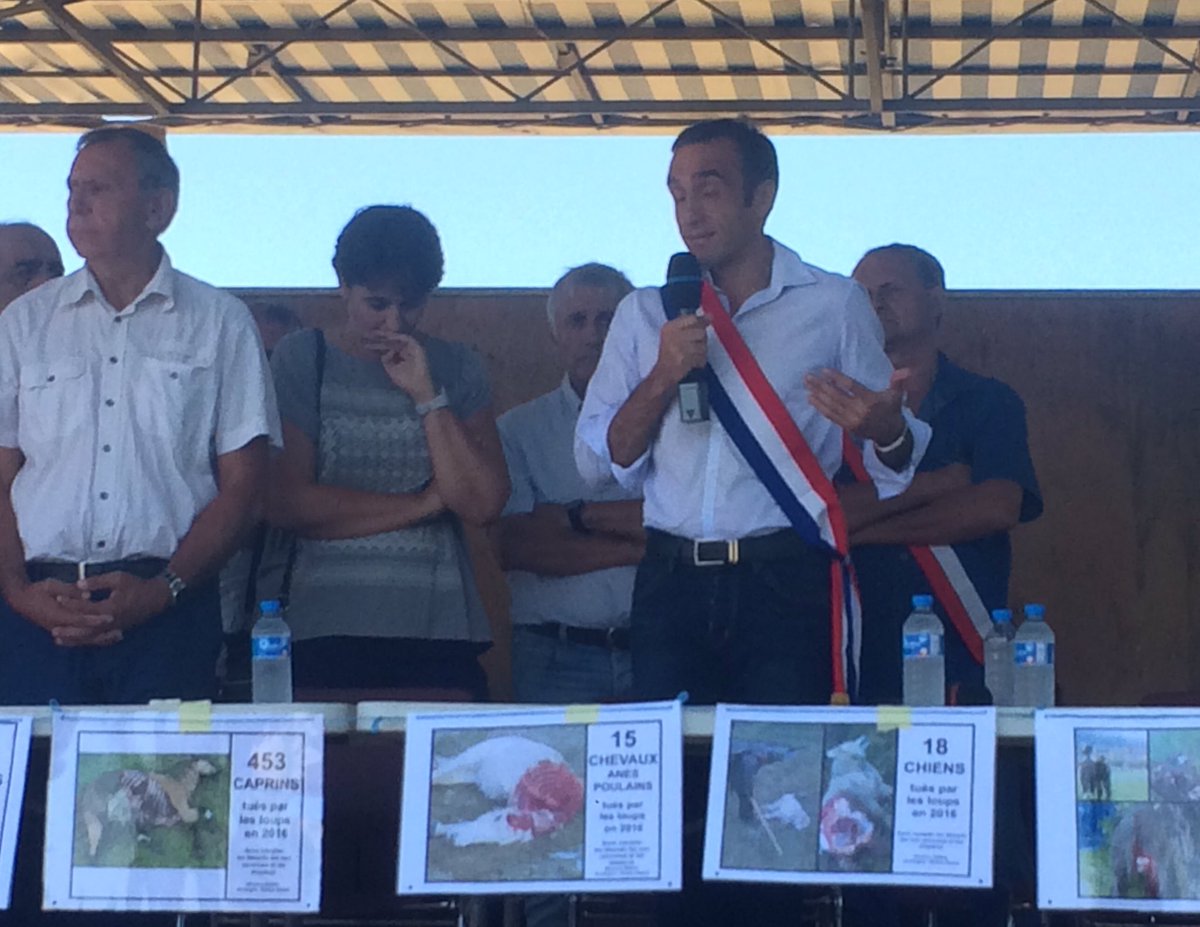 FDSEA12's tweet photo. "Que l'on dise aux éleveurs "vous n'avez qu'à mieux garder vos brebis" Ça m'ulcère !" @arnaudviala https://t.co/kH1qEd2vxV