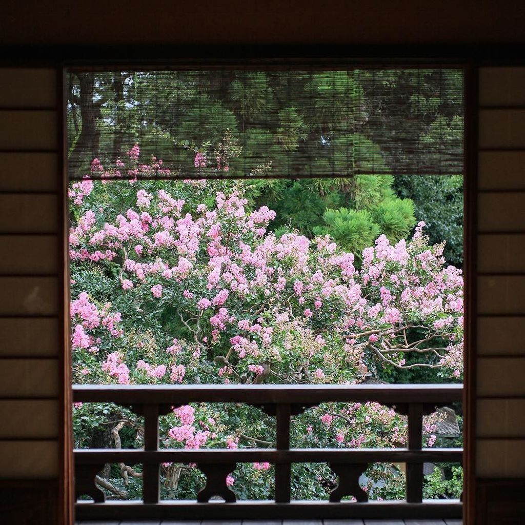 長めのいい部屋