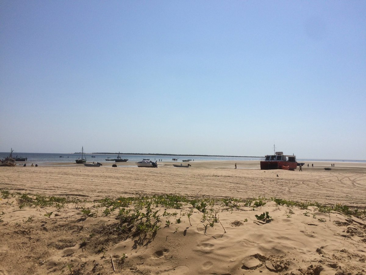 Crystalline_ed's tweet photo. #inhaca island ❤️ https://t.co/udbbBIoFSK
