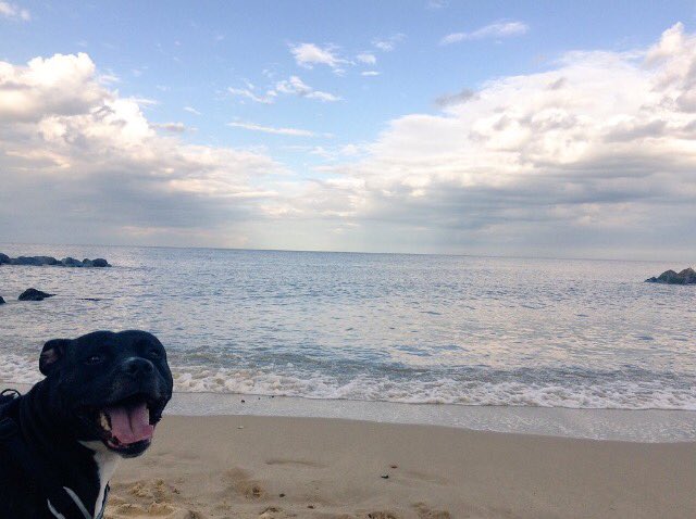Beachdrifter74's tweet photo. Going the beach?☀️🐚Leave only footprints not litter. Find a bin, take it home or do a #2minutebeachclean #PlasticFreeCoastlines #cleancoasts https://t.co/5g0bRPPS4A