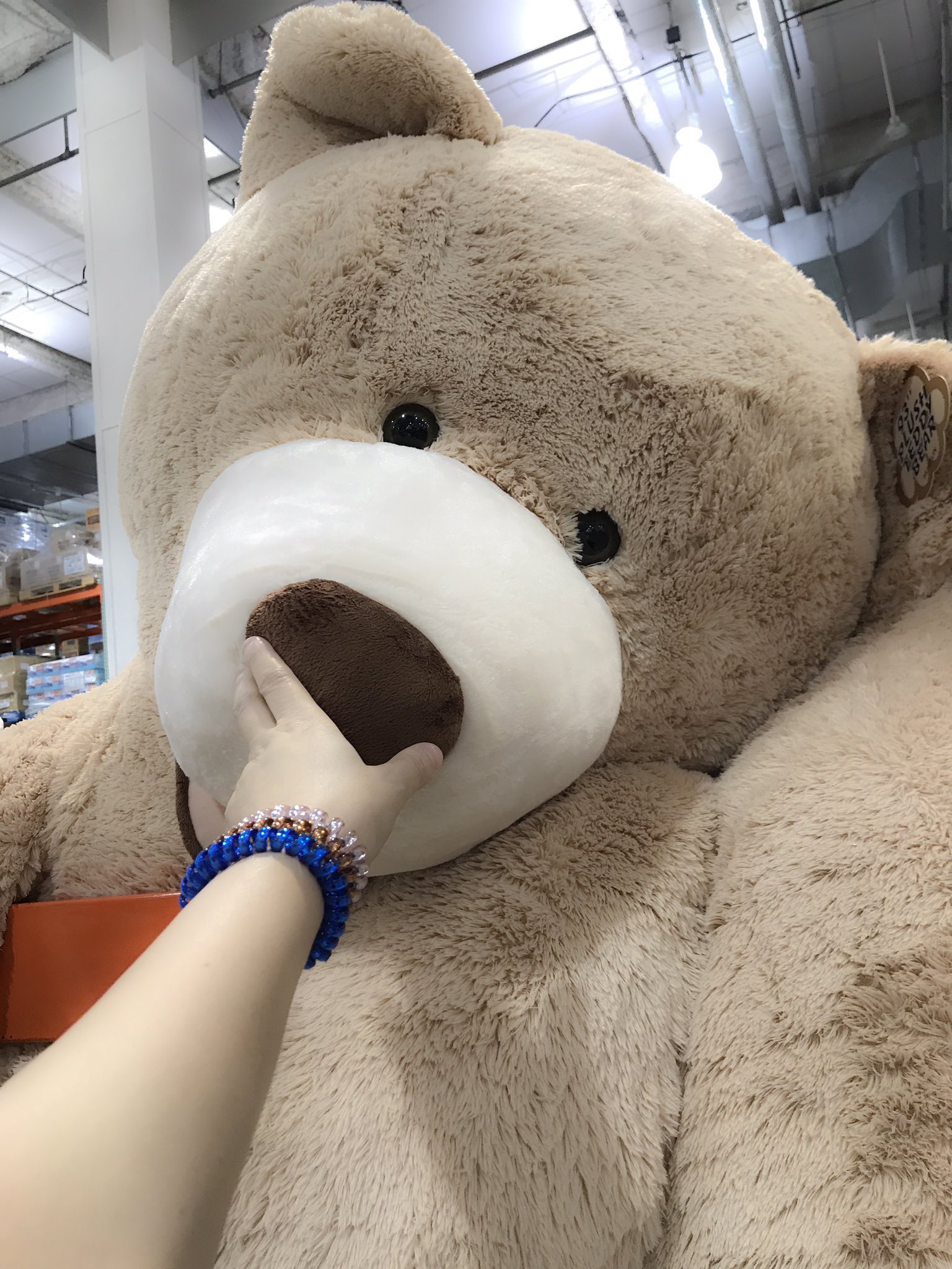 コストコのツキノワグマ ライトアップベアー 高さ約243cm | Costco Japan