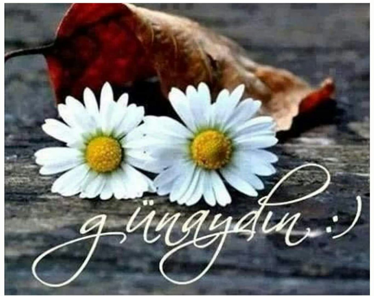 Günaydın Isparta Antalya Burdur nasılsınız BİSEX bayanlar ve bayanı BİSEX çiftler ve eşini aramıza verip izlemek isteyen cuckold çiftler slm