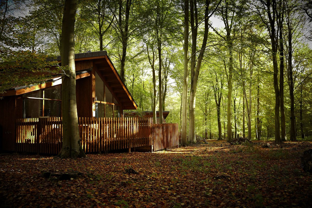 forestholidays's tweet image. #GoldenOak Hideaways are our most romantic cabins and will certainly get the butterflies fluttering...😍 forestholidays.co.uk/choose-a-cabin…