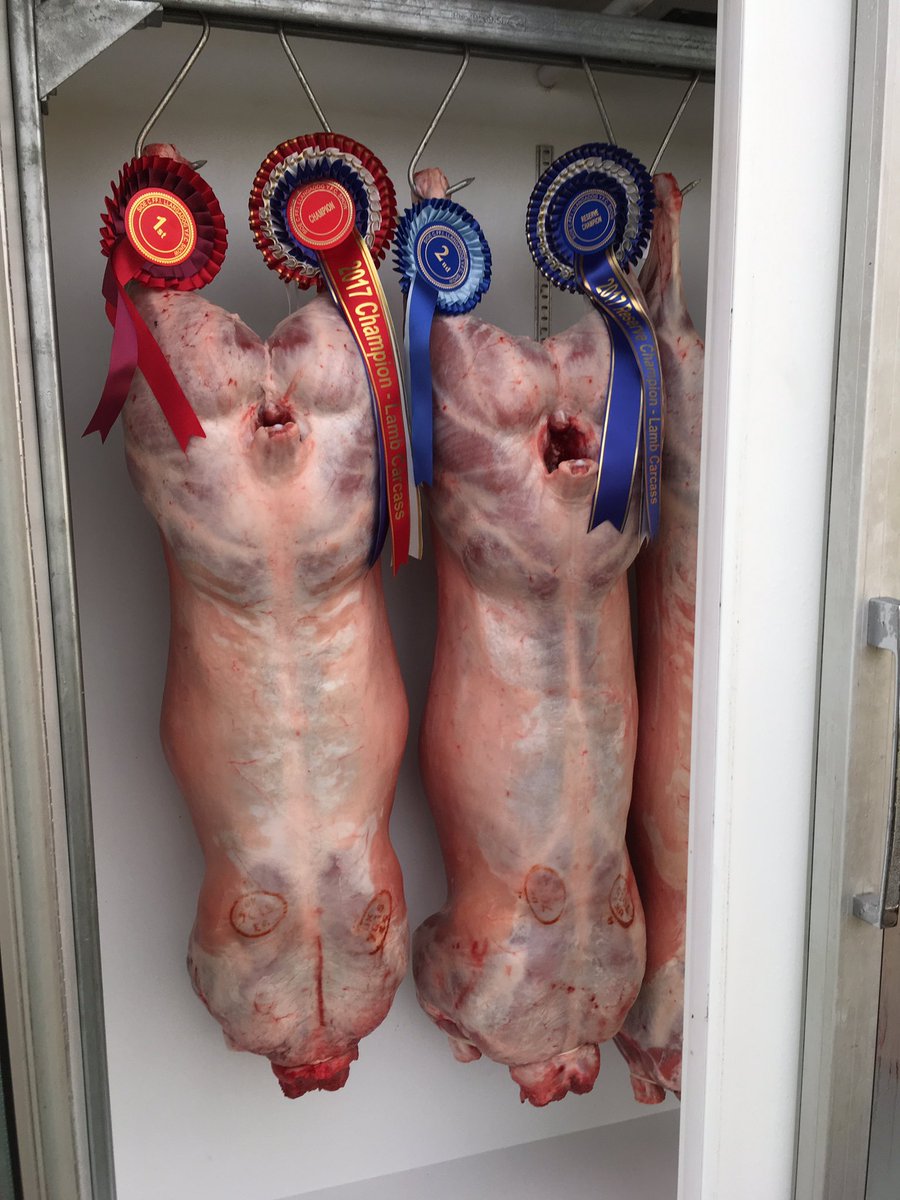 Canlyniad cynta'r dydd <a href="/LlangadogShow/">Sioe Llangadog Show.</a> ennill y carcass am yr ail flwyddyn yn olynnol / Champion and Reserve carcass for the 2nd year running
