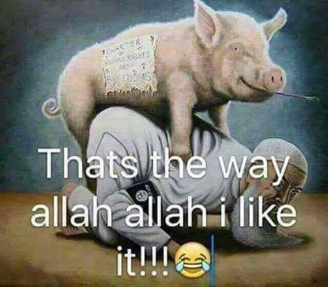 nickthehit88's tweet photo. #Muslim #Islam https://t.co/zcndW5RTDk