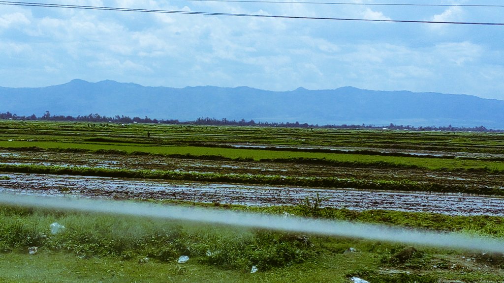 Jasigana254's tweet photo. On my way to Awasi I stopped to admire the Rice fields of Ahero Irrigation Scheme - its planting season in the furrows here. https://t.co/rJYUW3Dco4