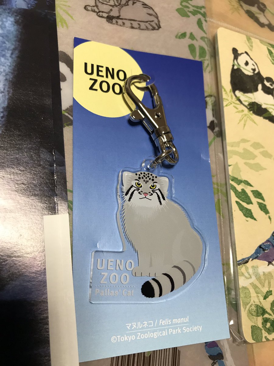お土産コーナーに念願のマヌルネコのグッズ登場してて、凄い嬉しかった