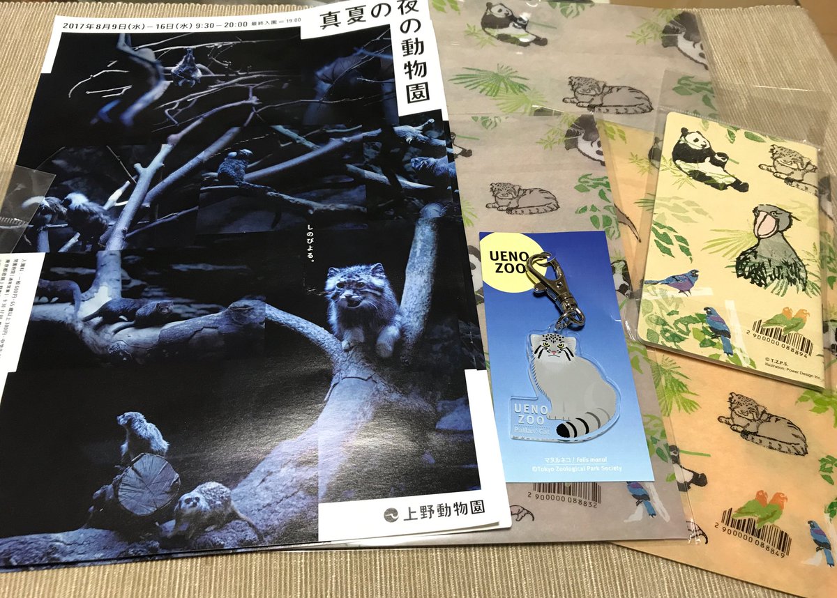 お土産コーナーに念願のマヌルネコのグッズ登場してて、凄い嬉しかった