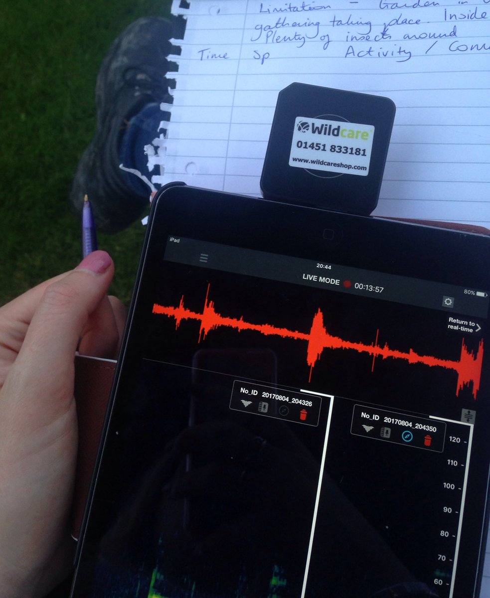L0tt4i's tweet photo. #bat #emergence #dusk #survey @SuperFastSurvey #foraging no #emergence #Precologist #ecology #ecologist #surveyseason @WildlifeAcoust@_BCT_ https://t.co/YqzRT7oJyg