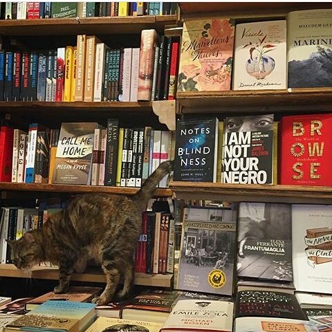 JeffMduma's tweet photo. #ReadBooks
#ReadReadAndRead
#SomaVitabu
#SomaVitabuCampaign https://t.co/xZOGaYZOIT