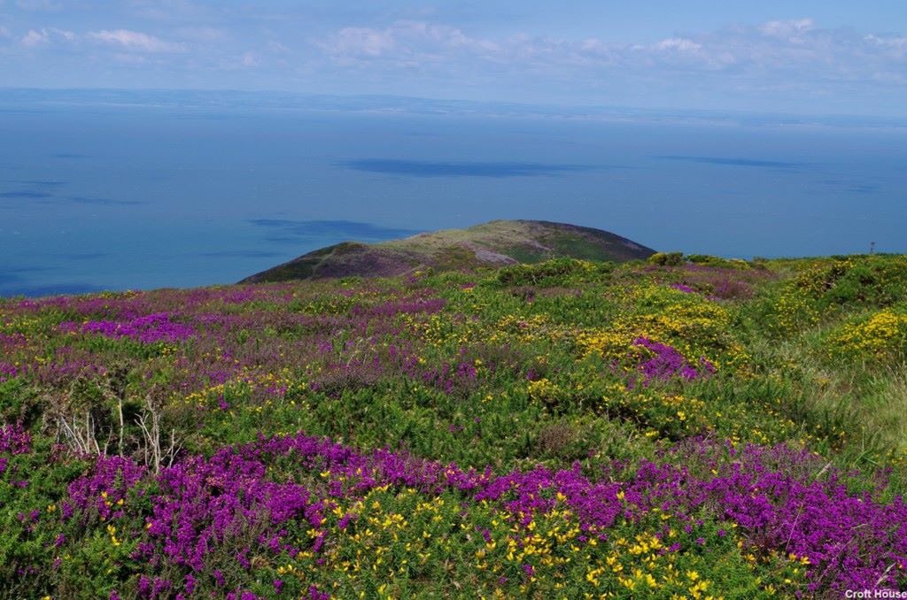 Exmoor_Events's tweet photo. @KathrinSapiha And to you! 
(Photo of #Exmoor by @lyntonbandb) https://t.co/Qol2LI1GQj