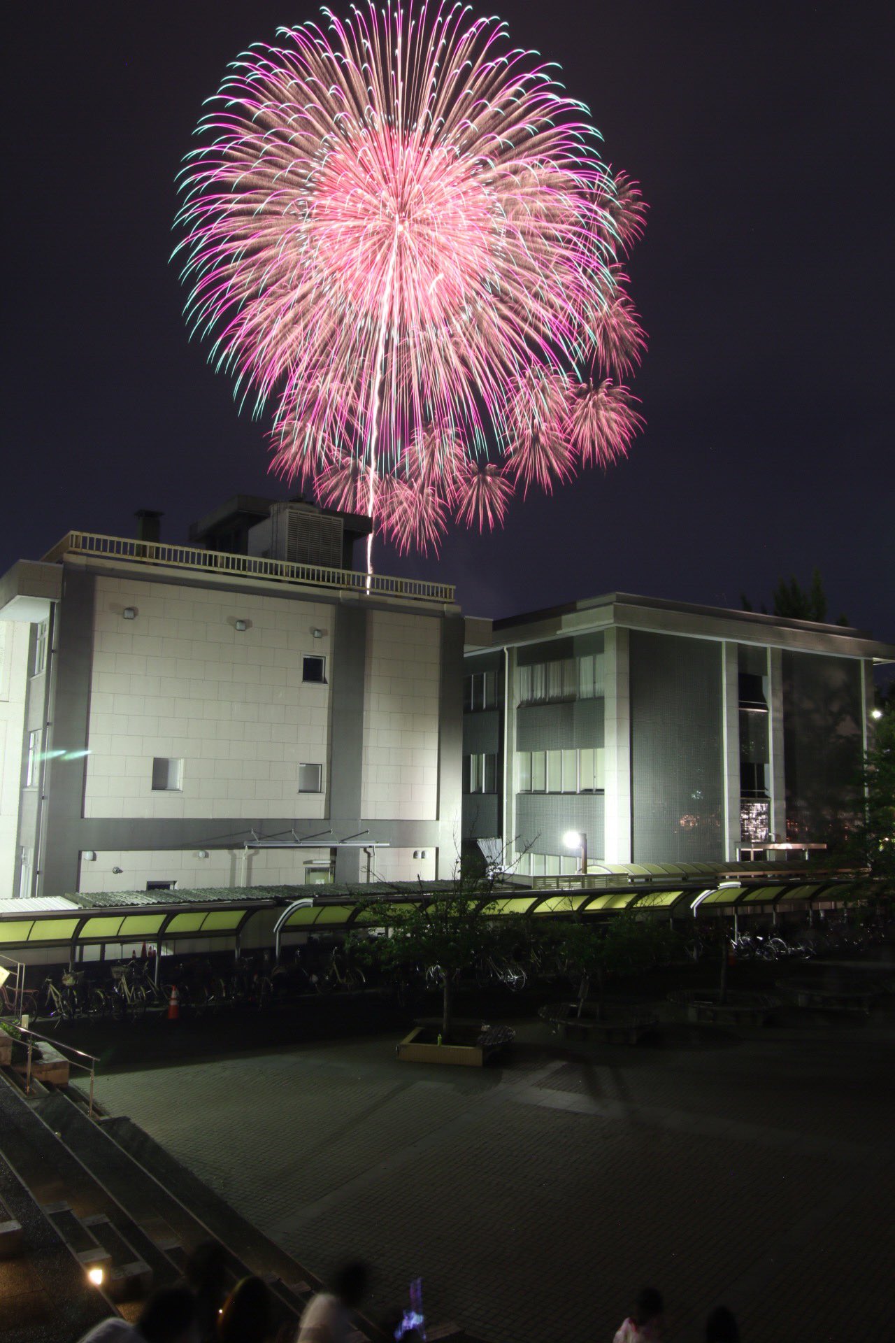 とまる 高崎花火 方向若干違って死にました でかいやつだけ撮って あとは捨て 場所選びミスった 後半はピントずらしの練習しました 高崎祭り 高崎花火 花火 ファインダー越しの私の世界 T Co 4mmmalnznf Twitter