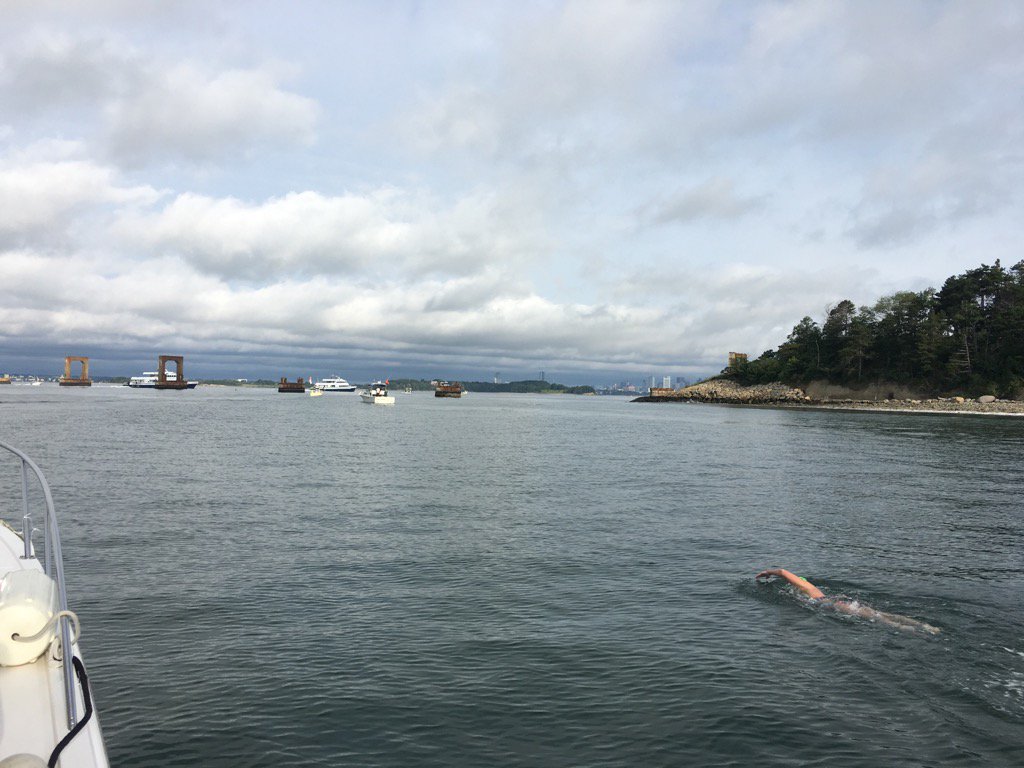 AmyBLS2017's tweet photo. Swimming toward Boston skyline #2017BLS https://t.co/XzMshcpCGc