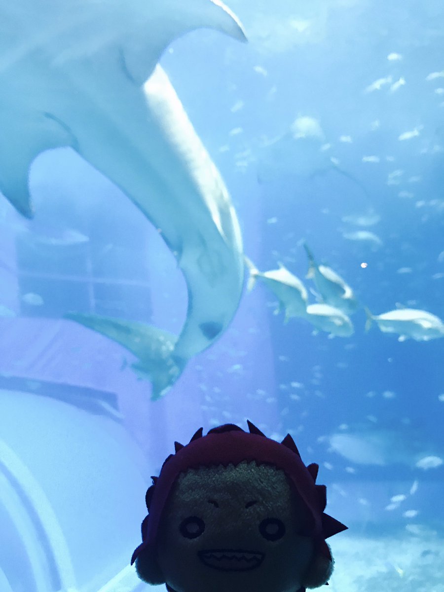 So cool!!!!! We have matching teeth!