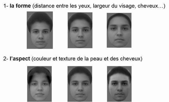 CNRS's tweet photo. #BlogNeurosciences Reconnaissance des visages, le code cérébral décrypté https://t.co/0useyRJ6j6 https://t.co/Mf5X8Eji7B