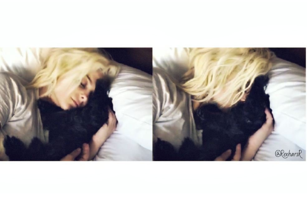 Bebe Rexha Ukraine tweet media