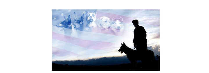 DogFriendlyMem's tweet photo. Bark on Broad 5k-9 2017 https://t.co/BYiL7tWulm https://t.co/QzTodv7yuP