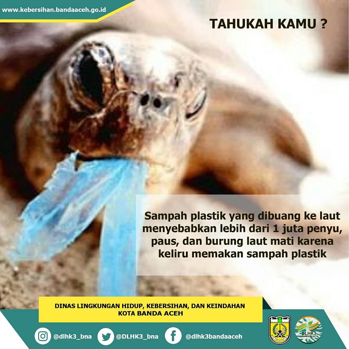dlhk3_bna's tweet photo. Tahukah kamu? 
Jika sampah plastik yang dibuang ke laut,menyebabkan ekosistem laut mati karena keliru memakan sampah tersebut
Kasian kan ya? https://t.co/TGFW1bI8Qh