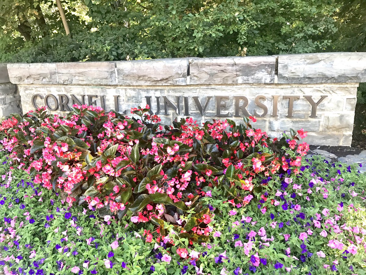 jkwillettmd's tweet photo. Taking a walk down memory lane today to the place where I failed Organic Chem the 1st time around 11 years ago. 😅

And I'm still a doctor. https://t.co/uakmROhDEI