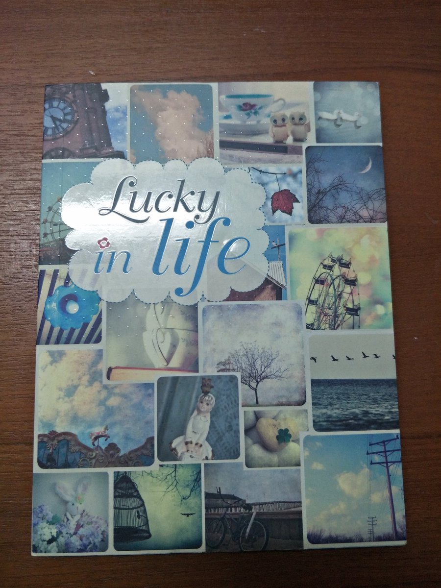 -Introvert- tweet media