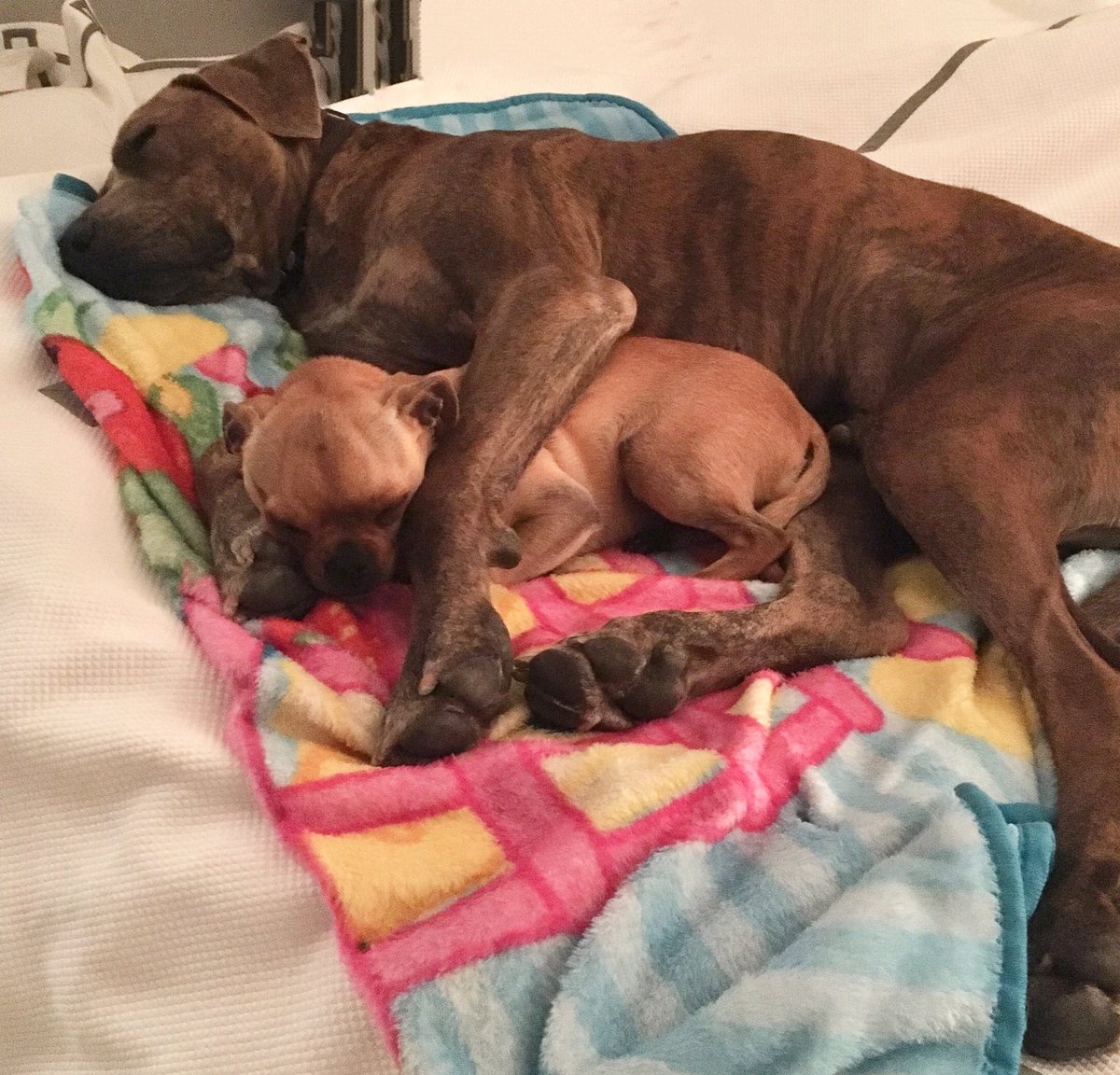 MissDaisyHarmon's tweet photo. #BigSpoon #LittleSpoon #ChugLife https://t.co/JEt9rChHxQ