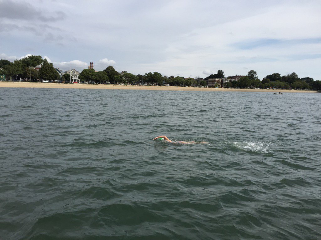 Amy BLS 2017 tweet media