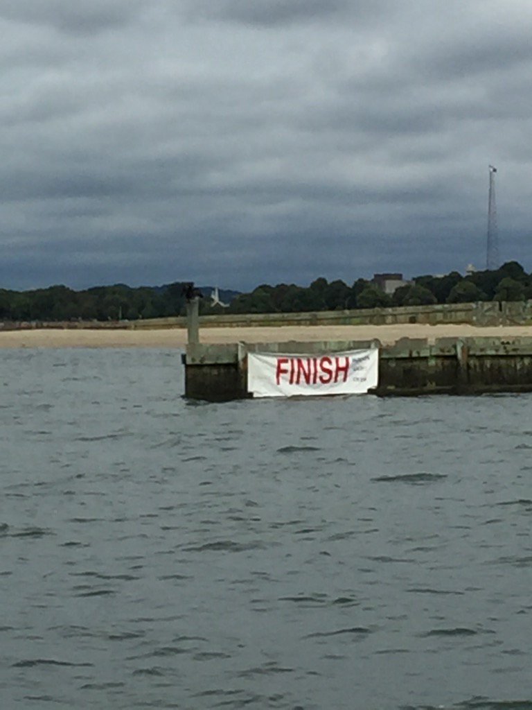 Amy BLS 2017 tweet media