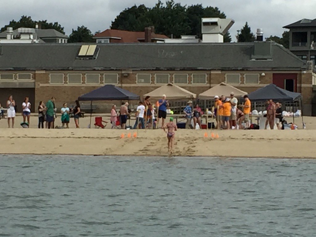 Amy BLS 2017 tweet media