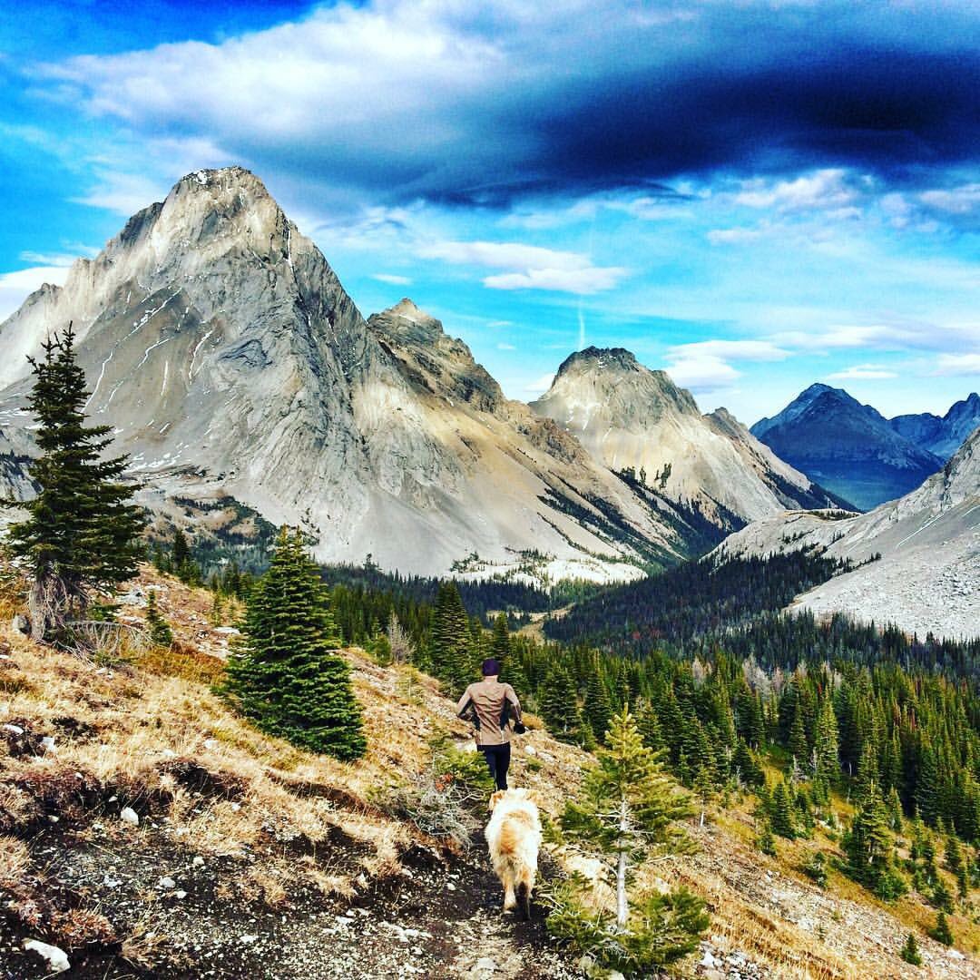 jacobpuzey's tweet photo. Few spots at #peakrunperformance #rockymountain #running retreat. Attendees get priority when coaching spots open https://t.co/6jmaaq9BXm https://t.co/CVFhmeK9VJ