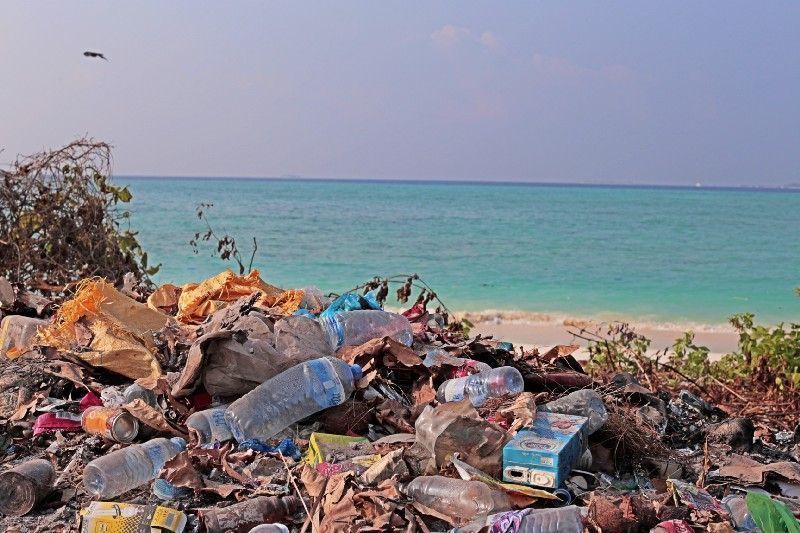 SAMSoceannews's tweet photo. How you can help save the ocean | Stop drinking bottled water #cleanseas #plasticdebris https://t.co/YvumxSiZZ6