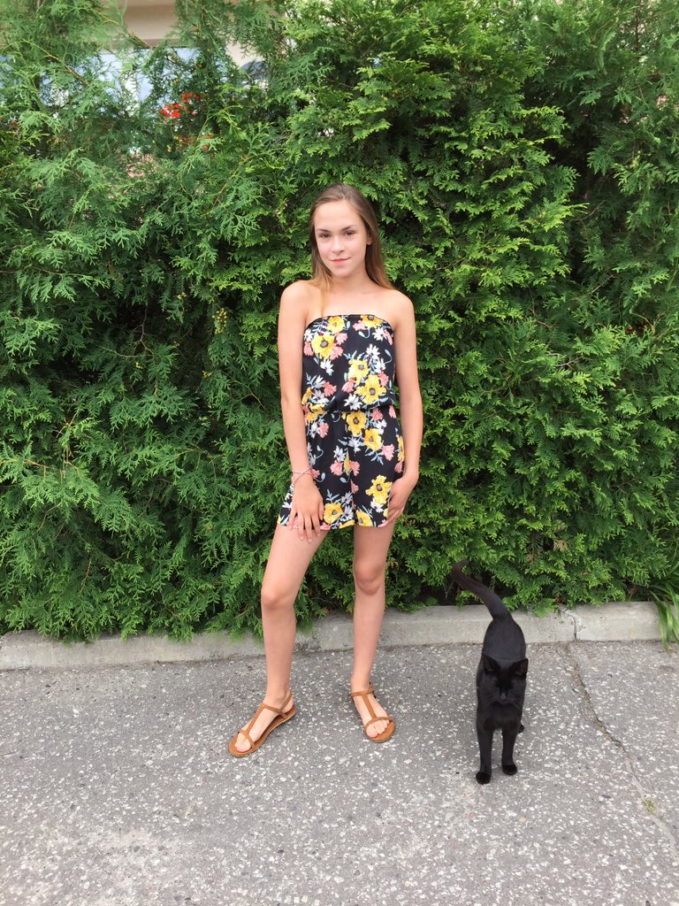 kumiegac's tweet photo. was taking some pics and a cat just popped out from the bushes i love it sm https://t.co/147jfdnMGs