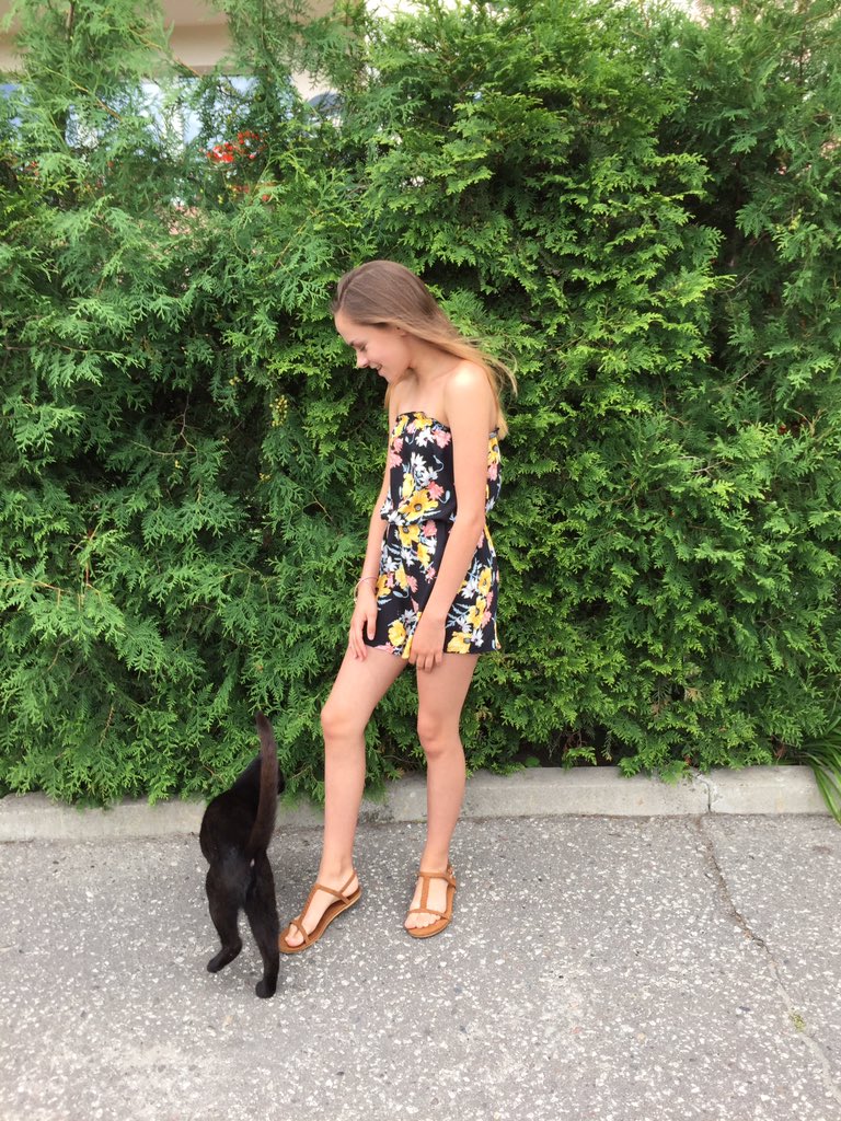 kumiegac's tweet photo. was taking some pics and a cat just popped out from the bushes i love it sm https://t.co/147jfdnMGs