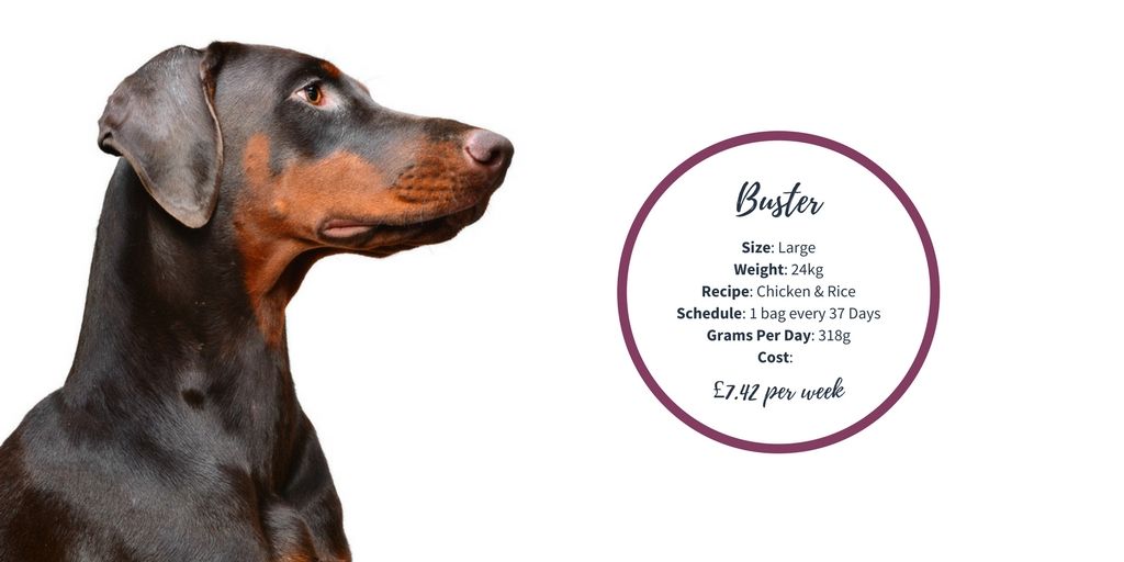 parcelpet's tweet photo. Meet Buster... here is his personalised schedule created by our very own parcelpet professors! https://t.co/I7YOlbAysB #parcelpets https://t.co/XNVs56IM1H