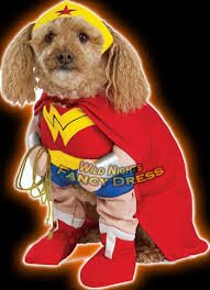 WoofTimeEvents's tweet image. 1 Week, 1 Pawty, 1 Love! Still some early dog tix @DesignMyNight ow.ly/HcSm30ebGWR Dress up your dog! #Dogs &amp;amp; #Games @fourthieves