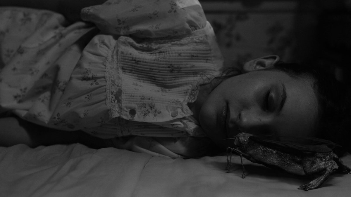 ThatsOurWaldo's tweet photo. August 5, 1956.
Sixty-one years ago today.
Never forget.
#TwinPeaks https://t.co/Tk2Pr5Pak8