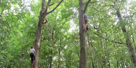 Geoschnueffler's tweet photo. Geocacher in Sulzthal wollten hoch hinaus..
#geocaching #geoschnueffler #Baumklettern #Event #BadKissingen #Sulzthal https://t.co/dwu3eCNiYh https://t.co/U1yrr3h4EK