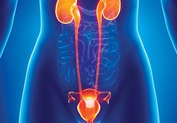 UrologyCareFdn tweet picture