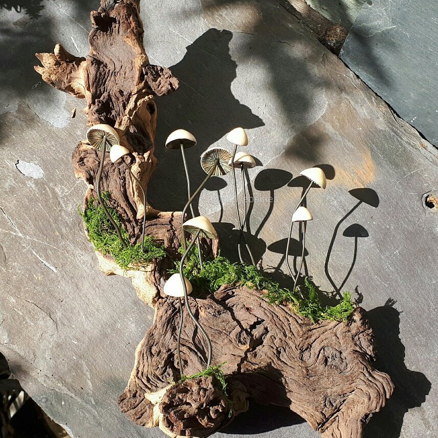 Just assembled these #handpainted #handmade 
I love making #fungi &amp; #mushrooms 
2nd is #wallplaque  
By Me