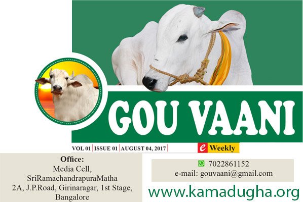 SriKavyam's tweet photo. @SriSamsthana @ShankaraPeetha @hareraama @Kamadugha_SRPM @HMahamandala @GouKinkara GouMata is making her way to the minds of you and us through the medium of internet!

Let's welcome her with all the warmth... https://t.co/0OAJJUZwpl