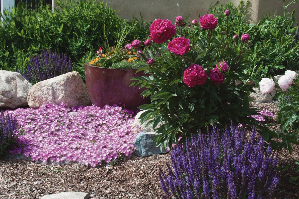 Annual #Garden &amp; #Home Tour opens the door to exquisite #Taos living. gardencluboftaos.org/event-2574555  taosnews.com/stories/garden… … #NM #Landscape