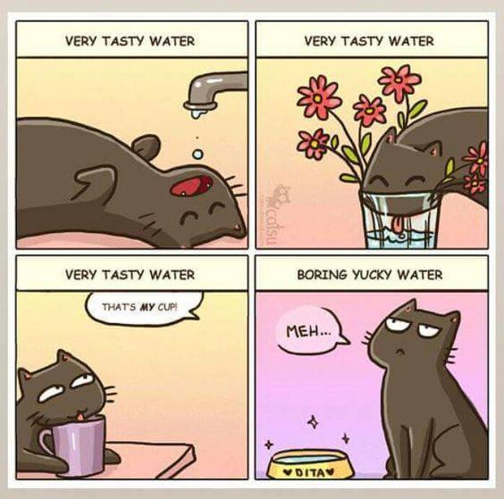 CatFoodBreath's tweet photo. https://t.co/sfi046U4vz