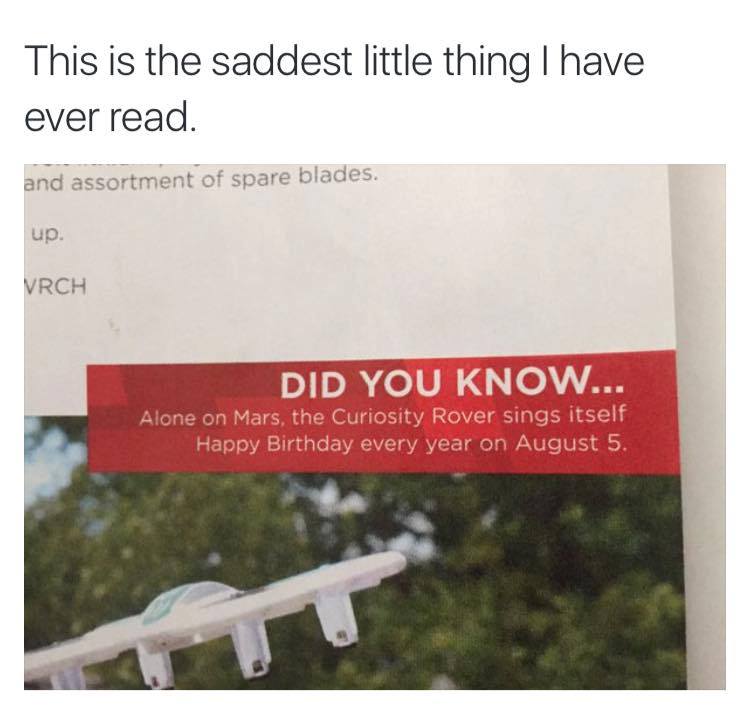 CurveCafe's tweet photo. This truly is the saddest thing I've ever read.  Please, eat a cupcake with a candle in it. https://t.co/PdkMX3NSJP