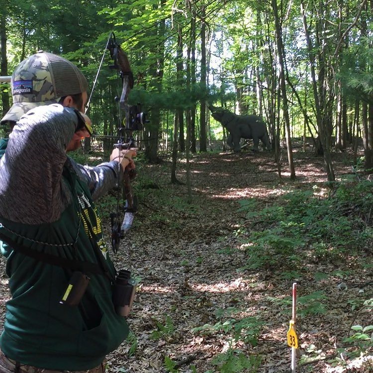TOsantowske's tweet photo. Rinehardt 100.
•
100 targets. 1 day. #archery #matthewsmission #bowhunting #rinehardt #r100 https://t.co/oC7vTrcU6s