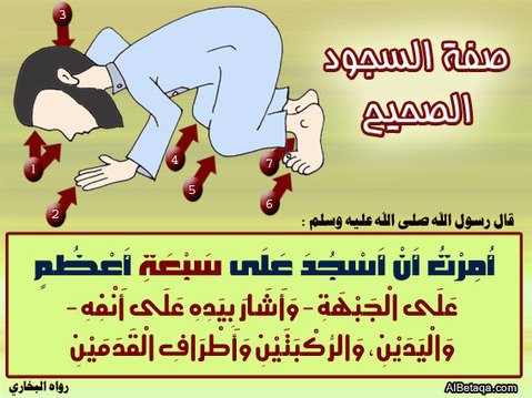 abeer1241's tweet photo. صفة  ~ الركــوع الصحيح
صفة  ~ السجود الصحيح
٠
٠ https://t.co/TBHslLpAes